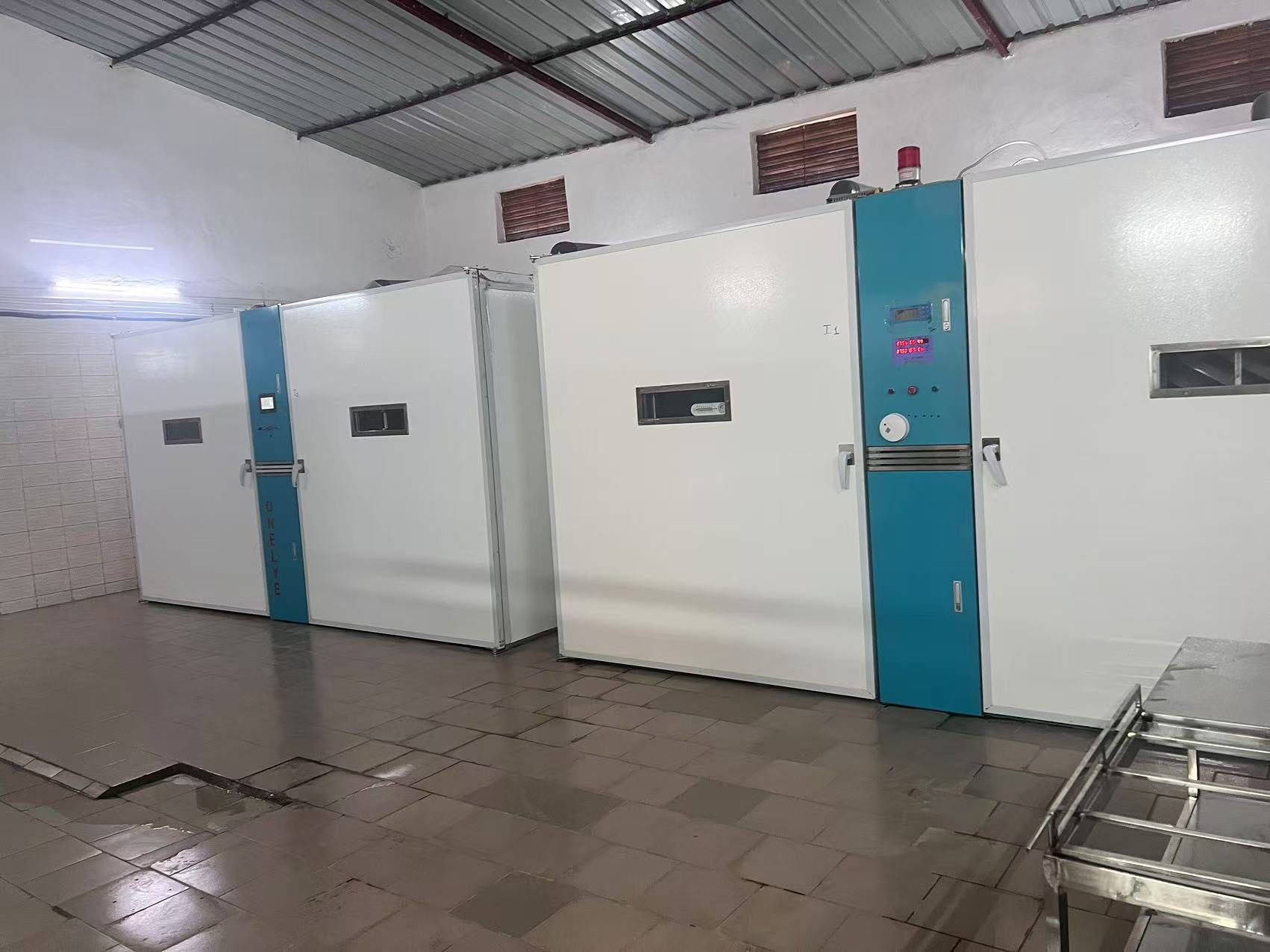 Latest company blogs about Como a automação aumenta as taxas de eclosão para 98% nas incubadoras modernas