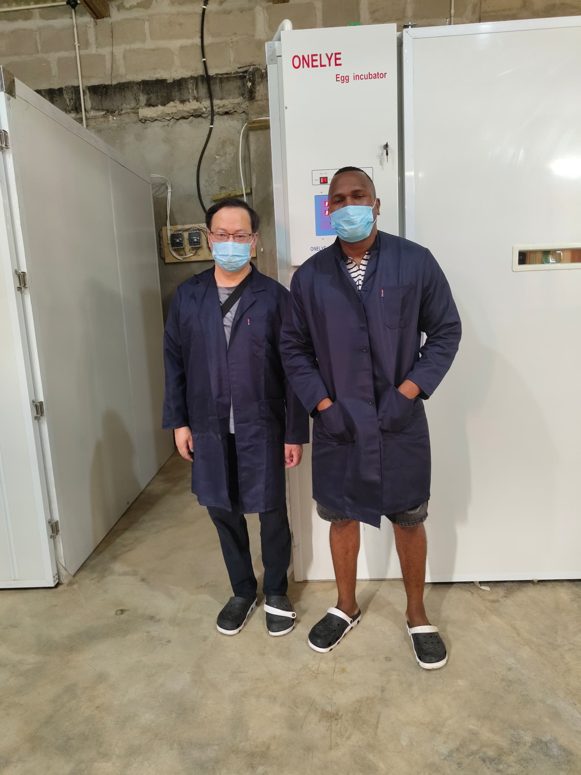 Últimos blogs da empresa sobre As oscilações de temperatura diurna e noturna nas terras altas da Etiópia causam eclosão desigual: soluções de isolamento e fluxo de ar uniforme para incubadoras de aves