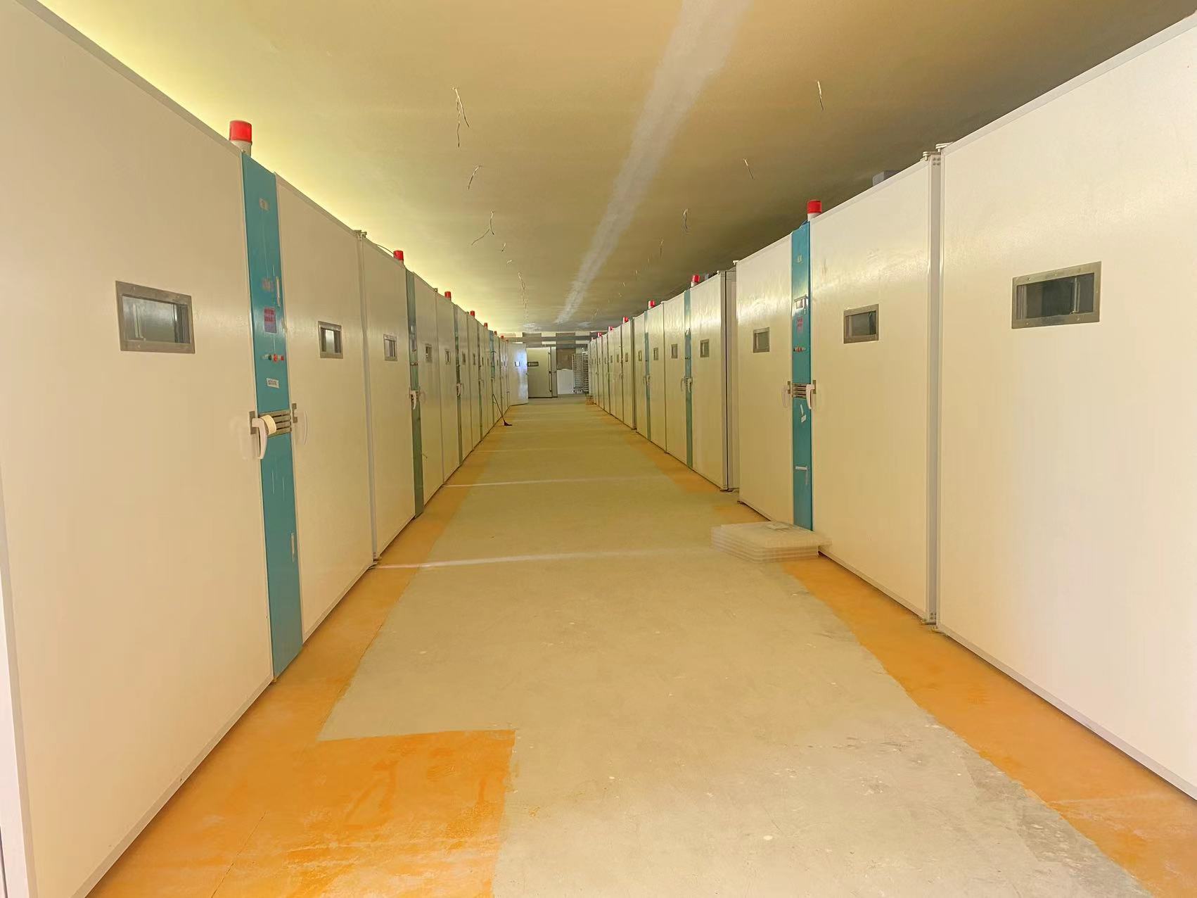 Últimos blogs da empresa sobre Soluções duráveis para aves de capoeira: por que as incubadoras africanas estão mudando para aço inoxidável e fibra de vidro ELT-57600S