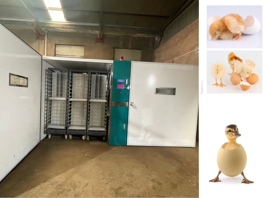 comprar 19200 incubadoras do ovo da grande escala incubam ovos de ganso dos pássaros dos patos online manufacture