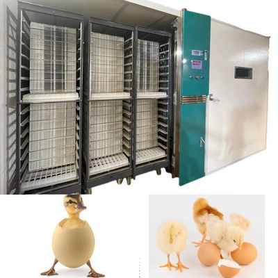 comprar A incubadora automática do ovo de ONELYE 12000 incuba os pombos de Gooses dos patos online manufacture
