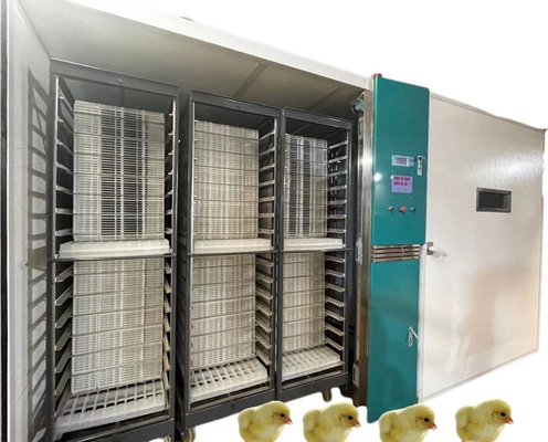 comprar A incubadora automática do ovo da grande escala 19200 incuba os pombos de Gooses dos patos online manufacture