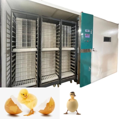 comprar Chocando a incubadora automática 19200 do ovo da galinha da grande escala da taxa 98% online manufacture