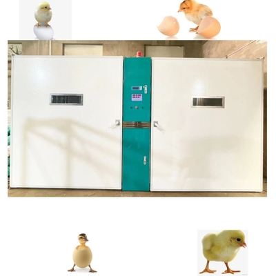 comprar Ovo grande da galinha da exploração agrícola que choca a capacidade da grande escala 19200 da máquina online manufacture