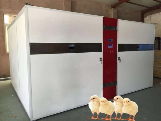 comprar Incubadora da única fase para a variação da temperatura 30-70°C & a escala de umidade 30-90%RH online manufacture