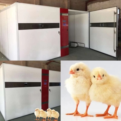 comprar Ovo 1000W industrial que choca incubadoras com precisão da umidade de ±3%RH online manufacture