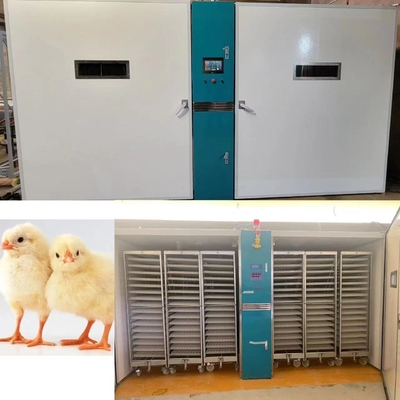 comprar galinha 220V/50Hz que choca a máquina com precisão da umidade de ±3%RH online manufacture