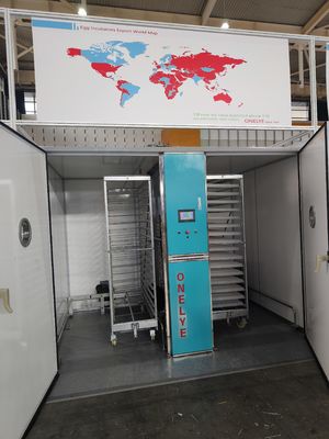 comprar Equipamento de detecção táctil ELT-19200 Incubadora comercial para ovos de galinha online manufacture