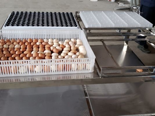 comprar Ovo automático comercial de transferência que Candling a máquina do equipamento da tabela online manufacture