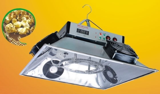 comprar Chocadeira elétrica Heater Chicken Brooder Gas Heater das aves domésticas para a exploração avícola online manufacture