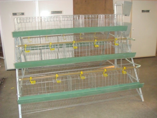 comprar Acessórios automatizados 3 da exploração avícola sistema da gaiola de bateria da camada do ovo da galinha das aves domésticas de 4 séries para grelhas online manufacture