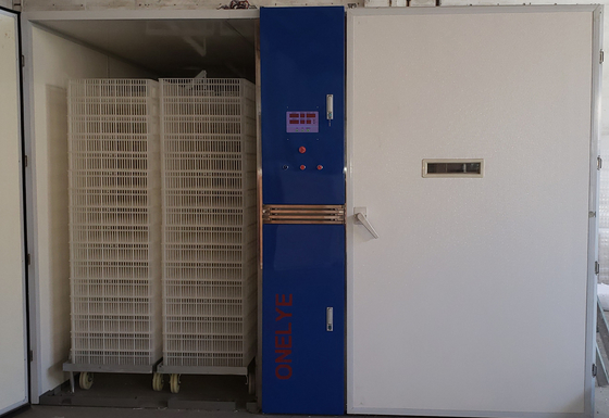 28800 Chicken Egg Incubator Equipment Chicks Hatchery Machine
