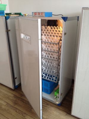 comprar Incubadora totalmente automático do ovo do portal fácil para a incubadora da capacidade dos ovos dos ovos 300 da galinha online manufacture