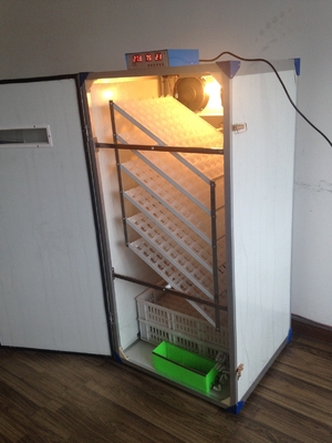 comprar Incubadora do ovo de 500 galinhas online manufacture