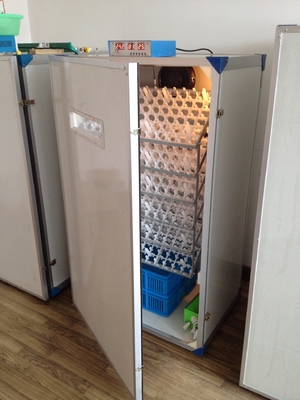 comprar Incubadora automática do ovo das aves domésticas que choca a incubadora do ovo da máquina 600 online manufacture