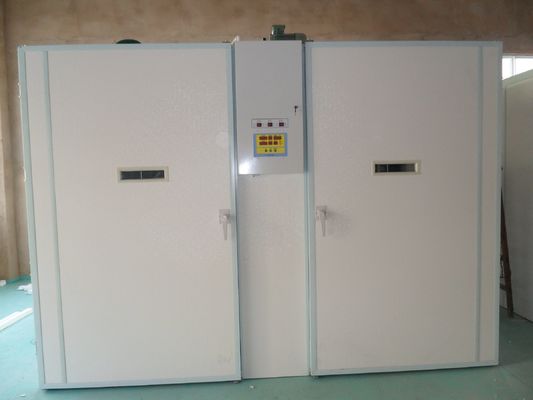 comprar Ovos industriais totalmente automático Duck Egg Hatching Machine da incubadora 12000 do ovo online manufacture