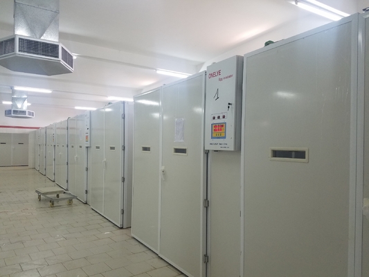 comprar Ovo da galinha de 20000 incubadoras que choca a máquina online manufacture