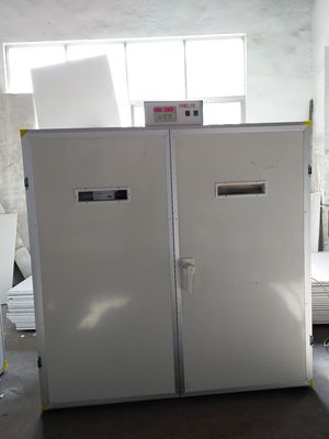 comprar Máquina da incubação da incubadora do setter do ovo de 7040 faisão online manufacture