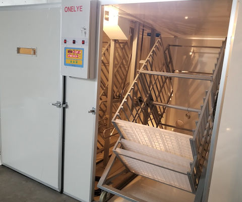 comprar Choque comercial do ovo do papagaio do faisão dos ovos da incubadora 10000 do ovo da grande capacidade online manufacture
