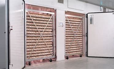 comprar Incubadora inteligente da única fase de 31824 codorniz dos ovos com ovo Turner online manufacture