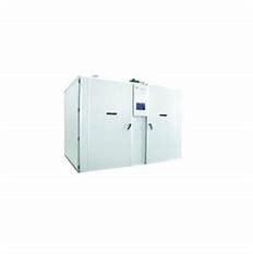 comprar Incubadora de aço inoxidável da única fase de 90 ovos de ganso do grau online manufacture