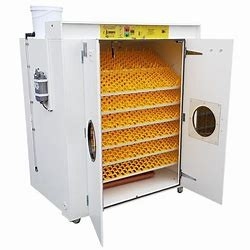 comprar Incubadora comercial Turner Heat automático do ovo de 31824 codorniz ajustável online manufacture