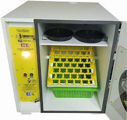 comprar Ovos automáticos da incubadora 672 modo inteligente enorme do pombo do multi online manufacture