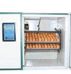 comprar 90 controlo inteligente de Hatcher da incubadora do ovo das aves domésticas do pombo do grau 336 online manufacture