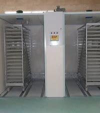 comprar Incubadora automática da única fase 90 graus que gerenciem com as 384 bandejas online manufacture