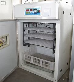 comprar A incubadora enorme do ovo das aves domésticas 200PCS expulsou seções online manufacture